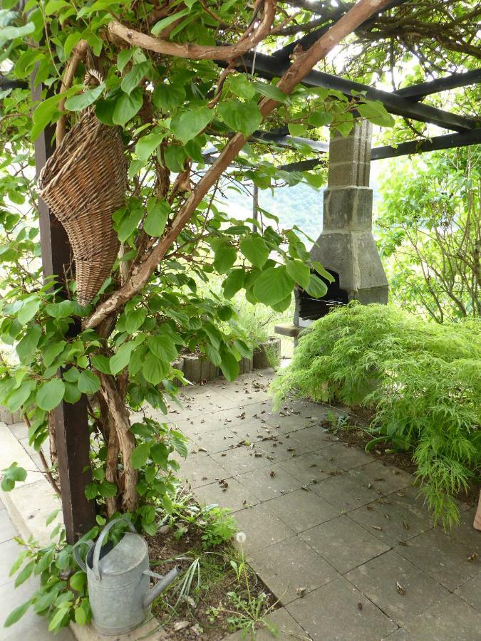 Fewo Batek Trechtingshausen Extérieur photo
